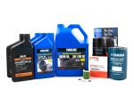 Yamaha 20 Hour Maintenance Kit - Yamalube 10W-30 - F350 on Sale