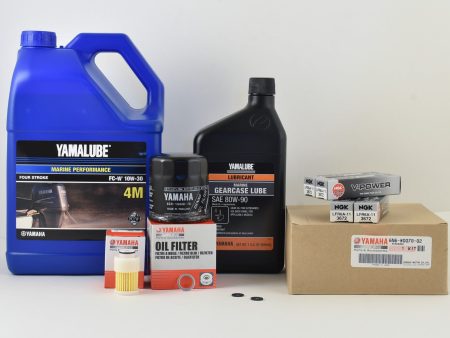 Yamaha 100 Hour Service Maintenance Kit with Cooling - Yamalube 10W-30 - F115 - 2000-2001 Supply