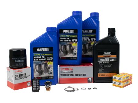 Yamaha 300 Hour Service Maintenance Kit - Yamalube 20W-40 - F60 - 2002-2004 Supply