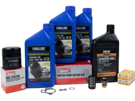 Yamaha 300 Hour Service Maintenance Kit - Yamalube 10W-30 - T60 - 2003-2004 Supply